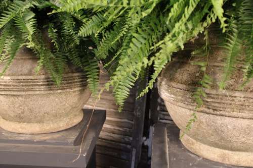 CARVED ITALIAN PLANTERS