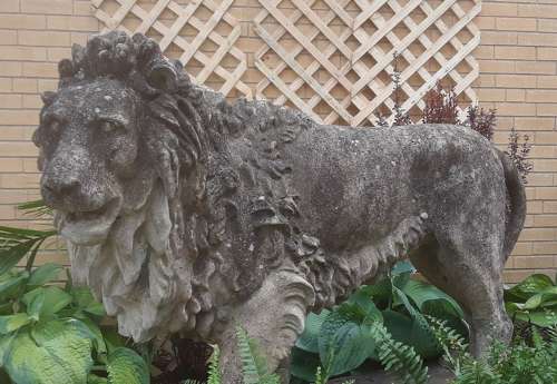 LIFE SIZE LION BY AUSTIN & SEELEY