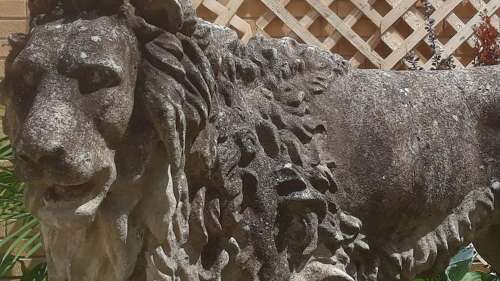 LIFE SIZE LION BY AUSTIN & SEELEY