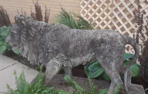 LIFE SIZE LION BY AUSTIN & SEELEY