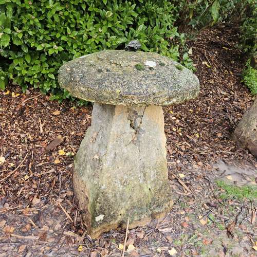 SET OF FOUR ENGLISH CARVED STADDLE STONES
