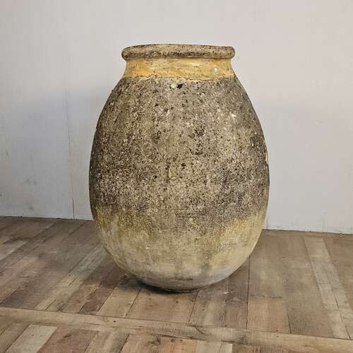 LARGE FRENCH BIOT  (46