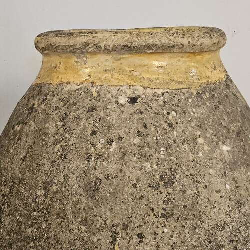 LARGE FRENCH BIOT (46