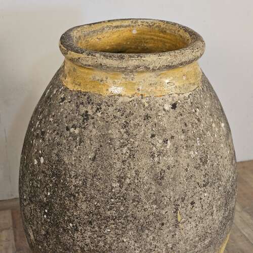 LARGE FRENCH BIOT (46