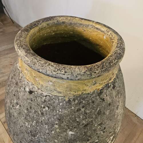 LARGE FRENCH BIOT (46